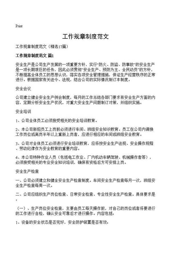 工作规章制度范文