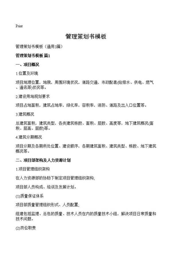 管理策划书模板