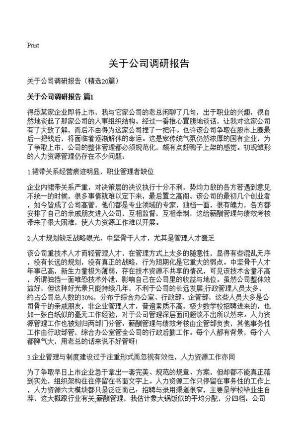 关于公司调研报告