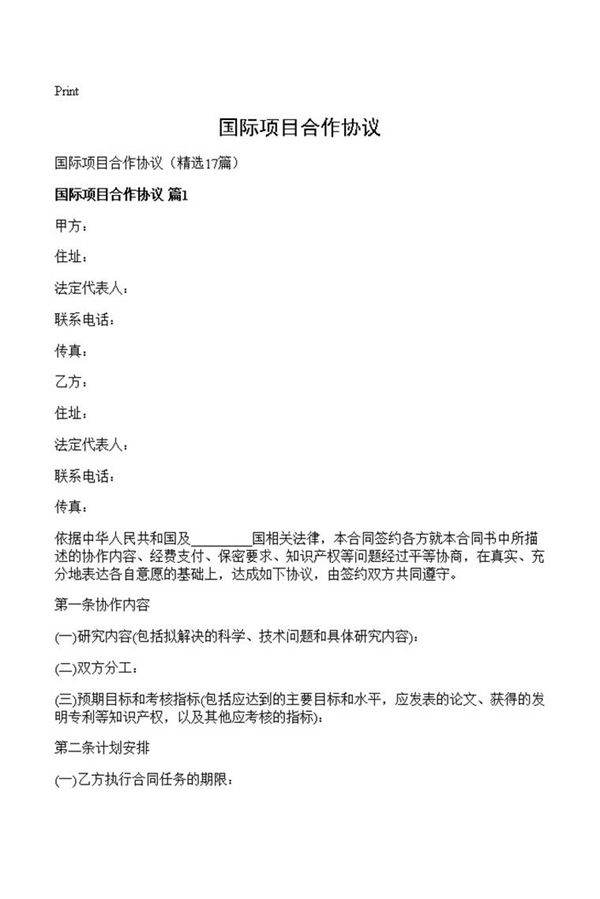 国际项目合作协议