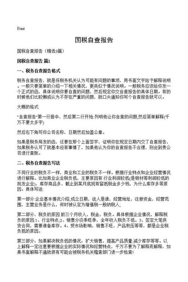 国税自查报告