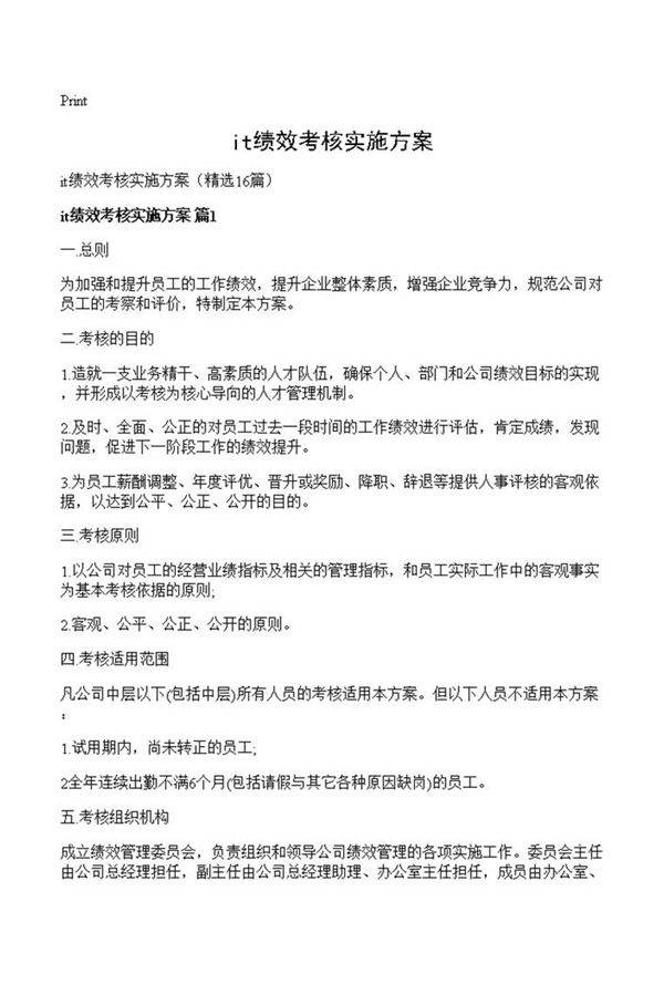 it绩效考核实施方案