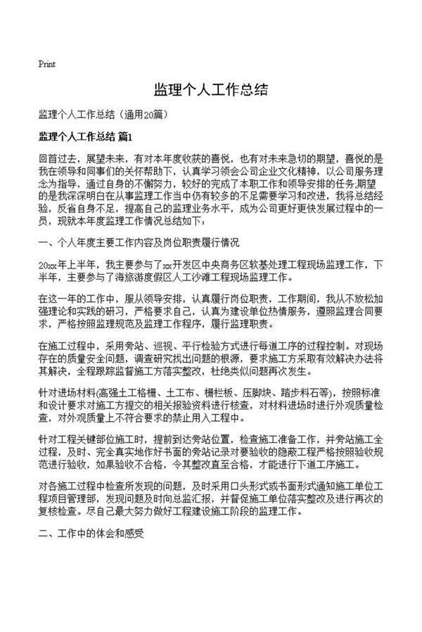 监理个人工作总结