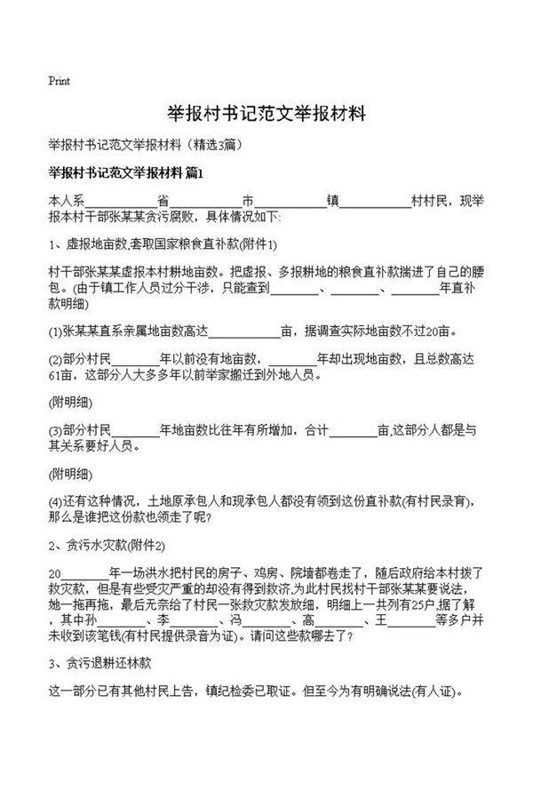 举报村书记范文举报材料