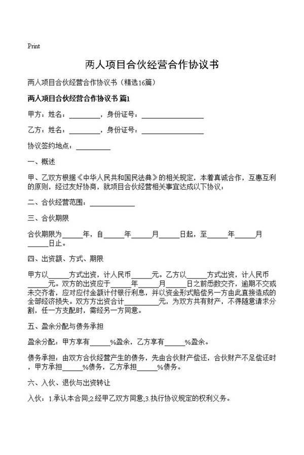 两人项目合伙经营合作协议书