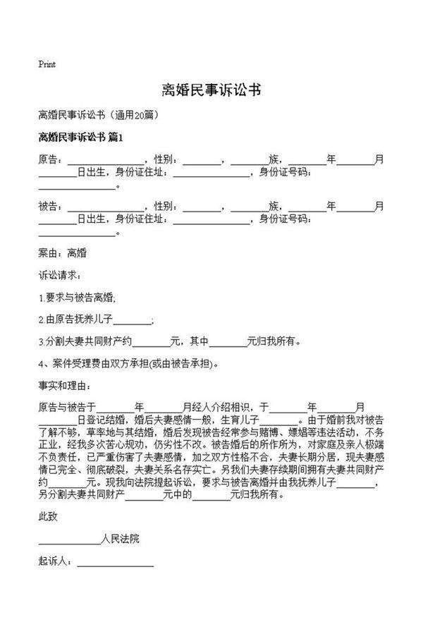 离婚民事诉讼书