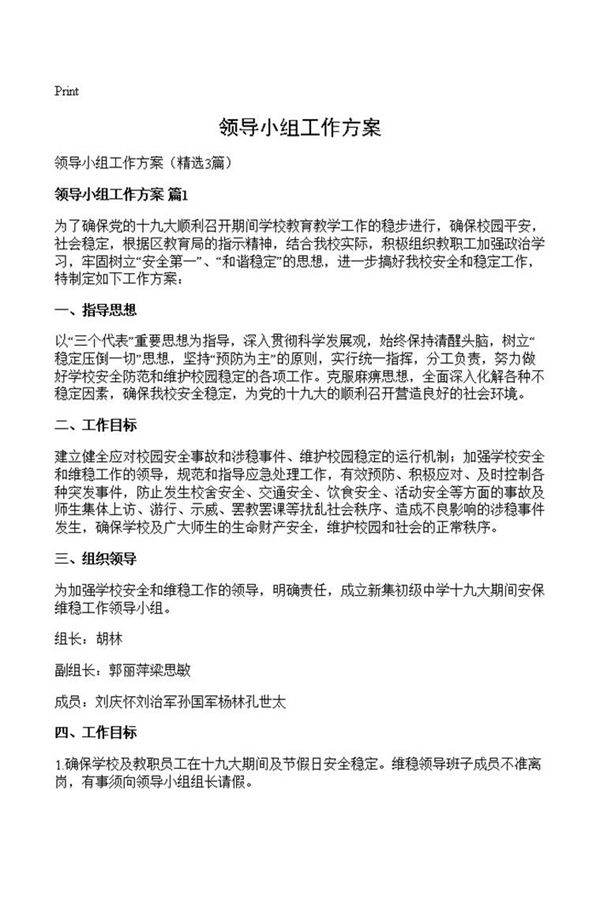 领导小组工作方案