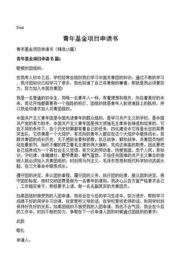 青年基金项目申请书