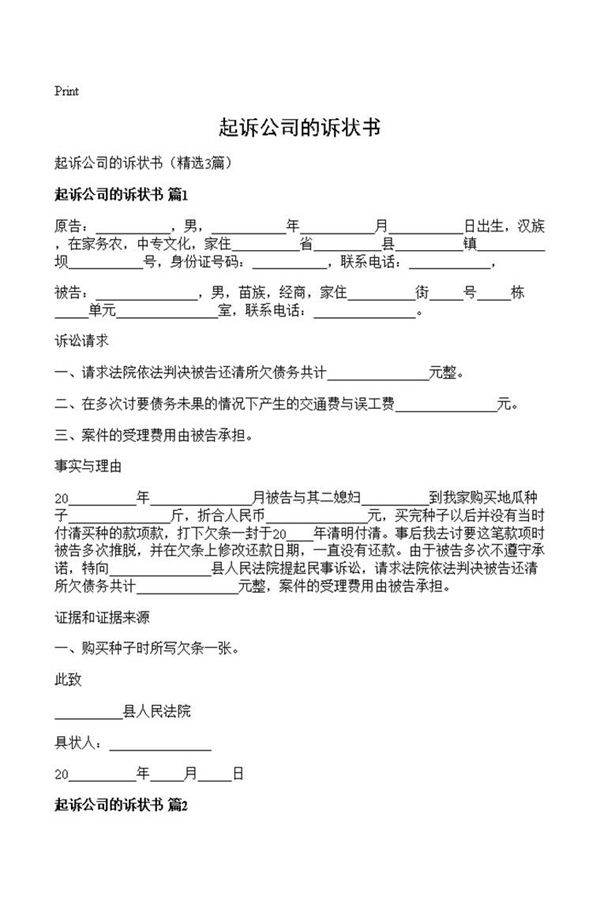 起诉公司的诉状书