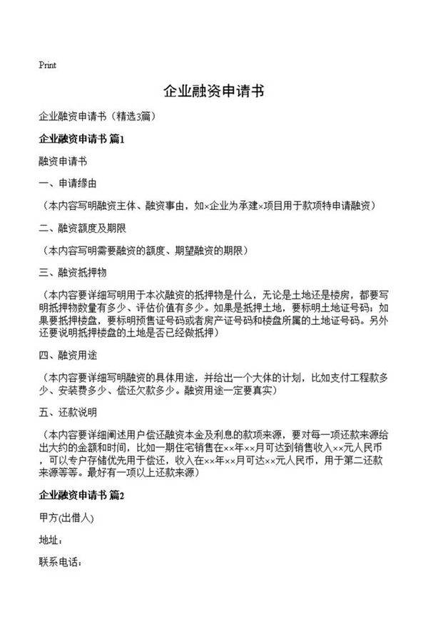 企业融资申请书