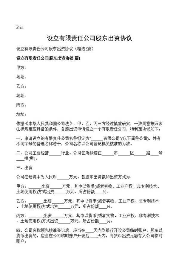 设立有限责任公司股东出资协议