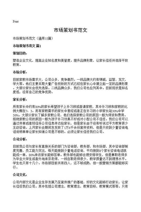 市场策划书范文