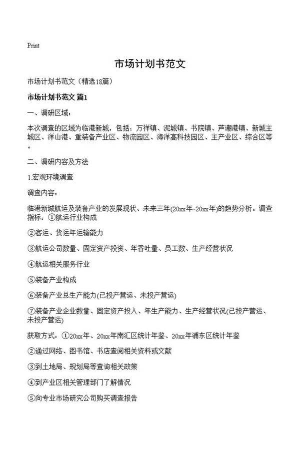 市场计划书范文