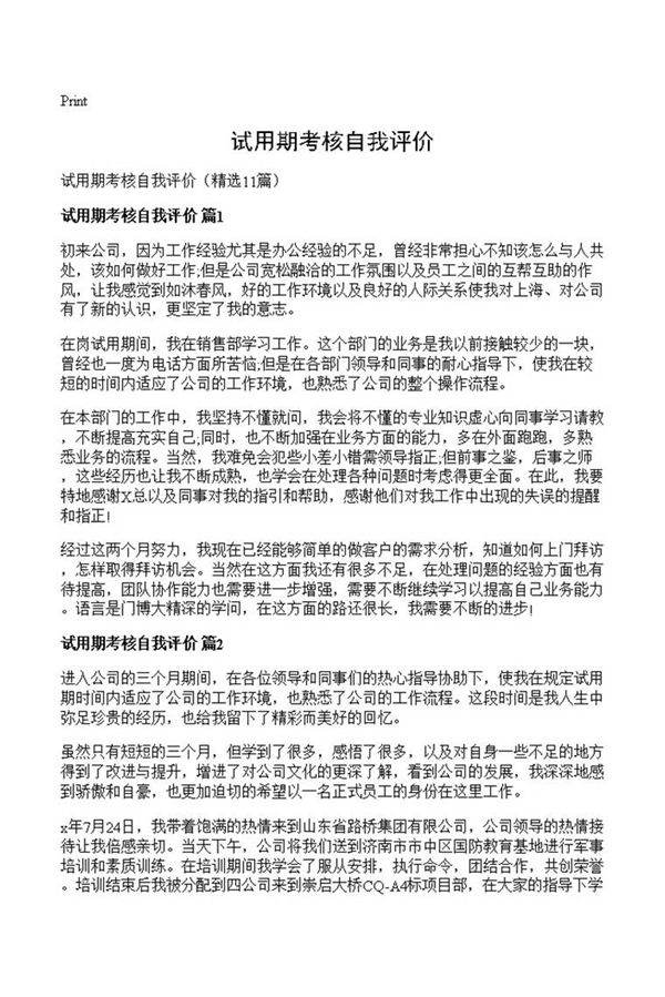 试用期考核自我评价