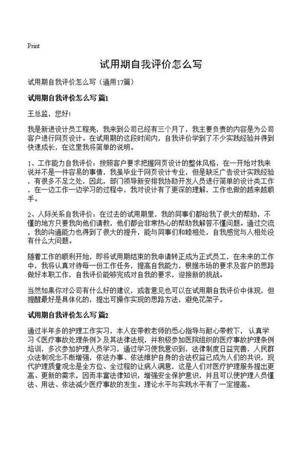 试用期自我评价怎么写