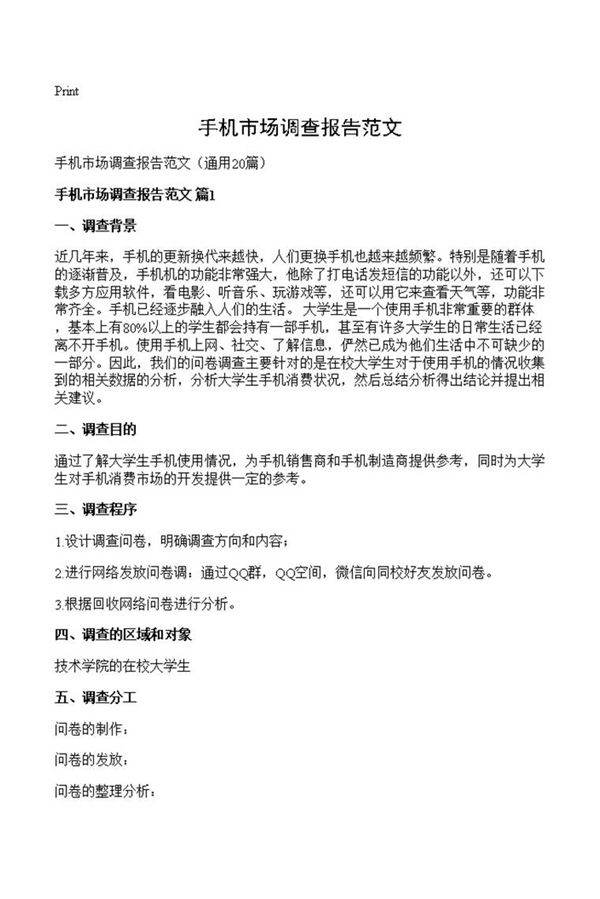 手机市场调查报告范文