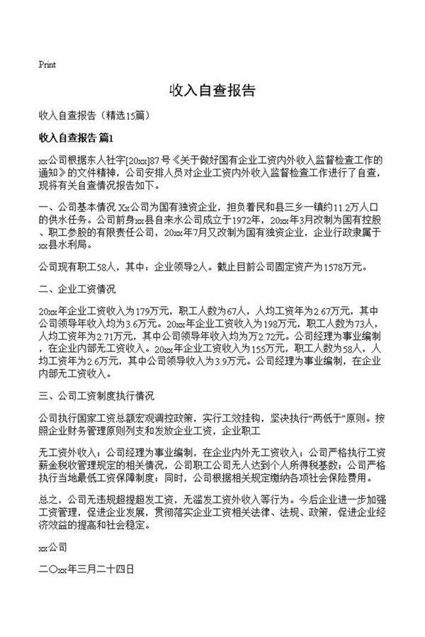 收入自查报告
