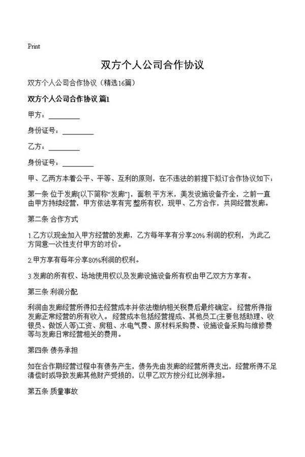 双方个人公司合作协议