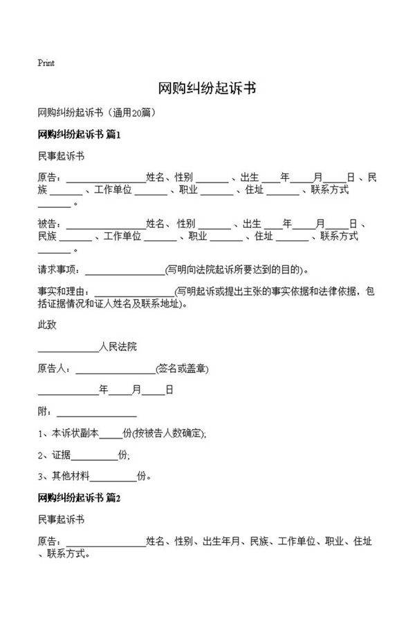 网购纠纷起诉书