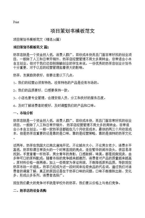 项目策划书模板范文