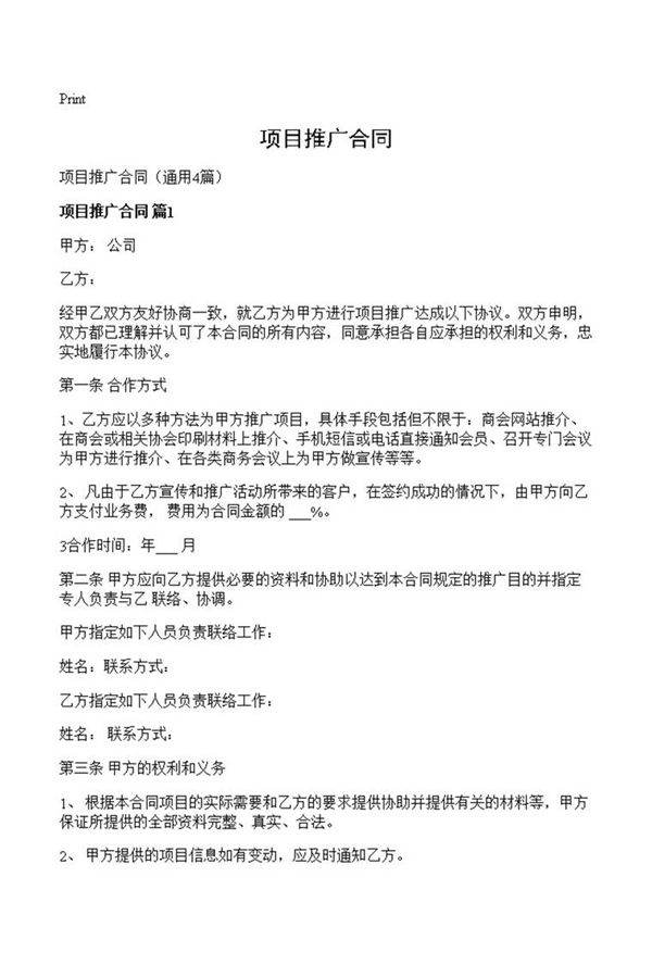 项目推广合同