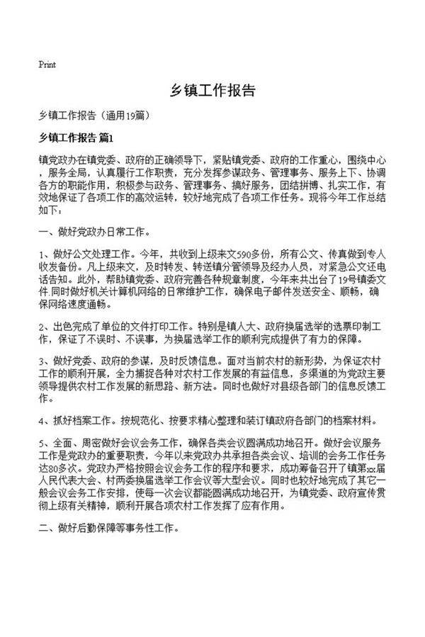 乡镇工作报告