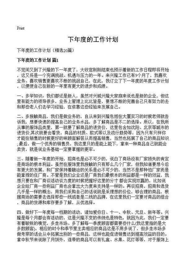 下年度的工作计划