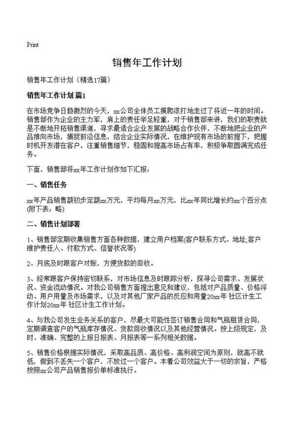 销售年工作计划