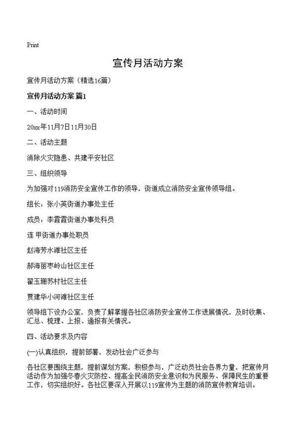 宣传月活动方案