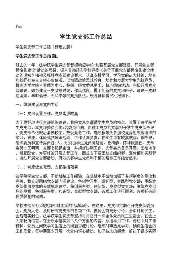 学生党支部工作总结