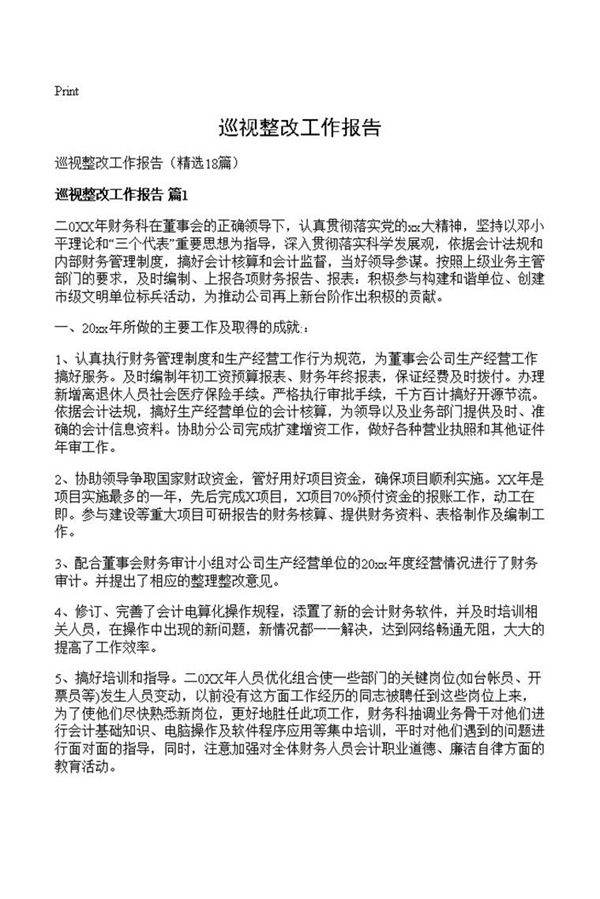 巡视整改工作报告