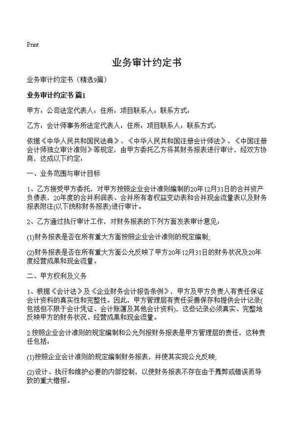 业务审计约定书