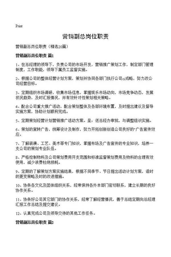 营销副总岗位职责