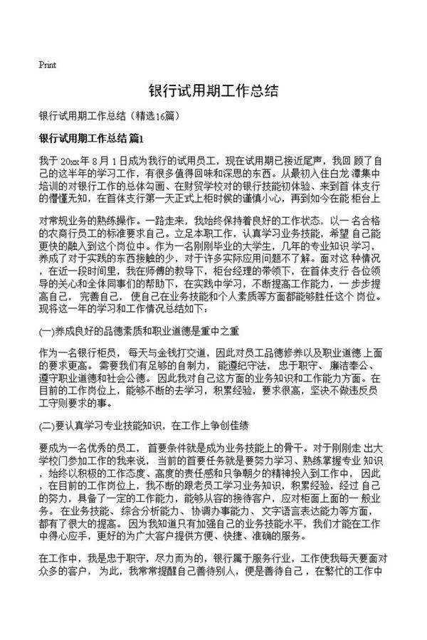 银行试用期工作总结