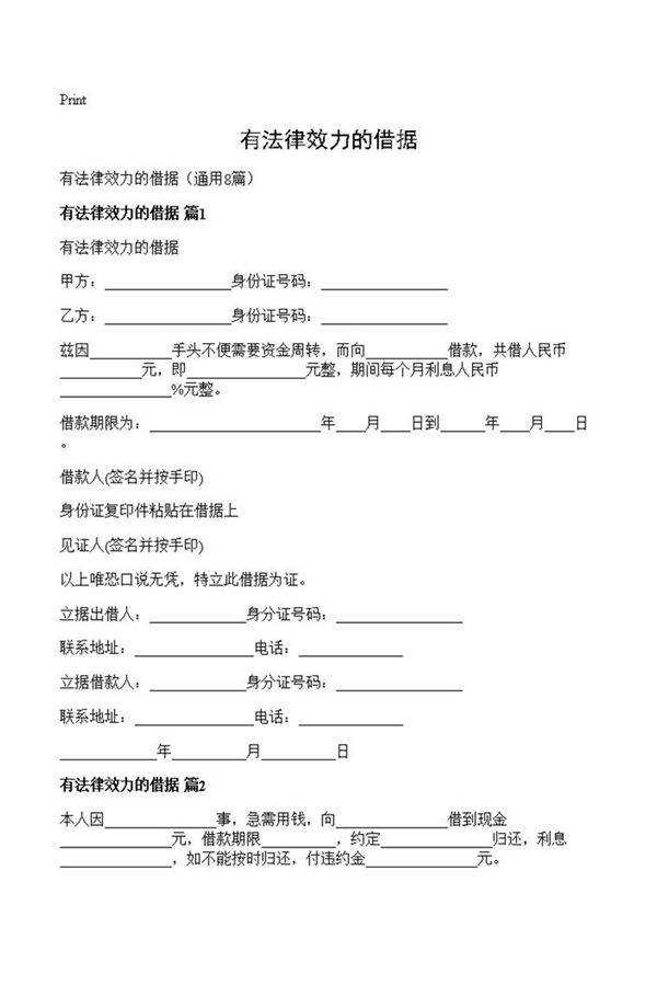 有法律效力的借据