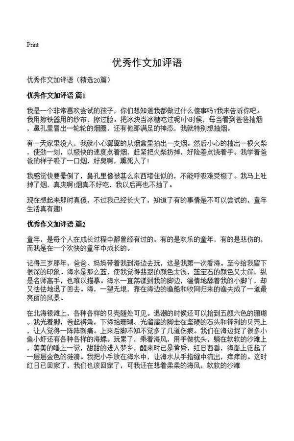 优秀作文加评语