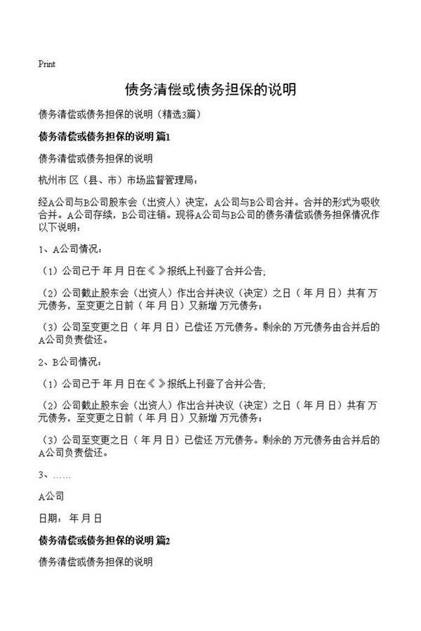 债务清偿或债务担保的说明