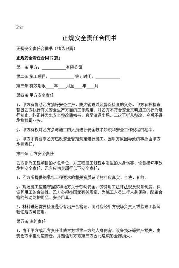 正规安全责任合同书