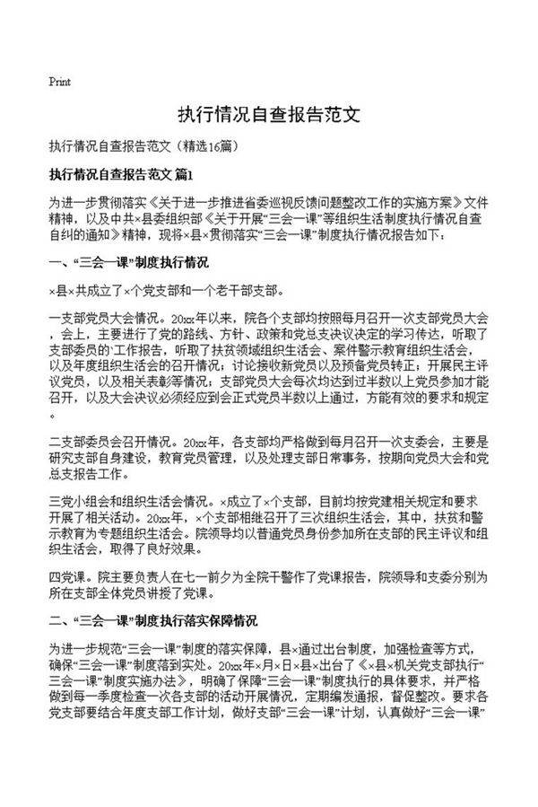 执行情况自查报告范文