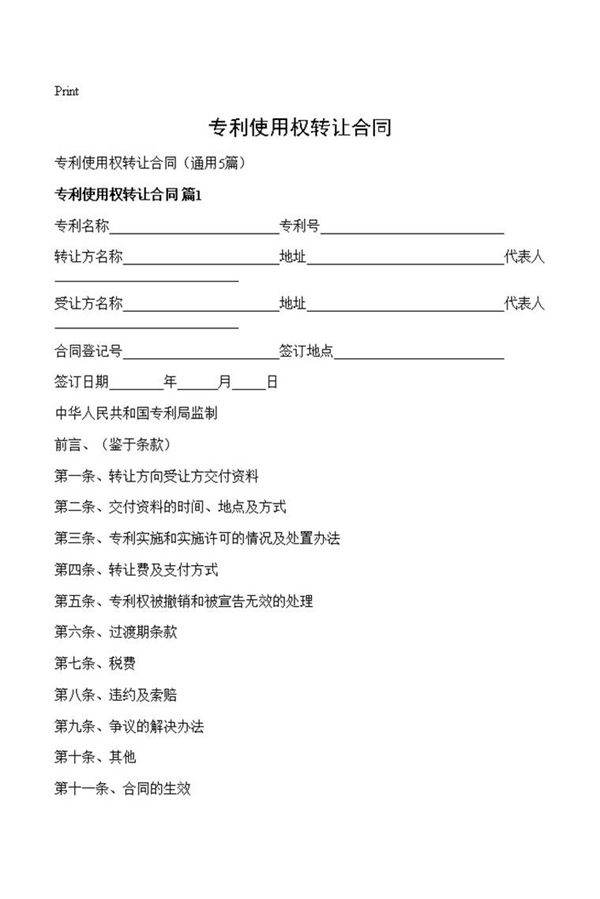 专利使用权转让合同