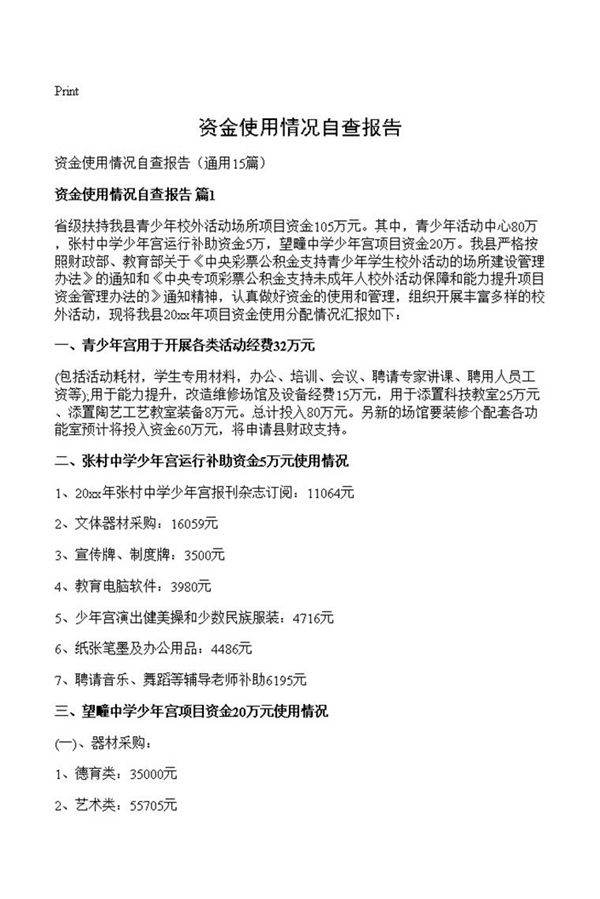 资金使用情况自查报告