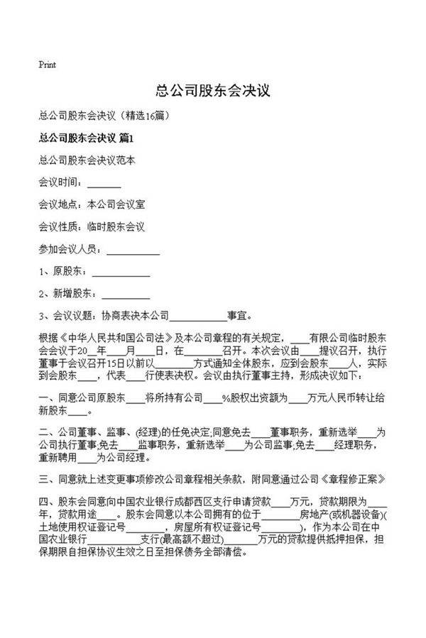 总公司股东会决议