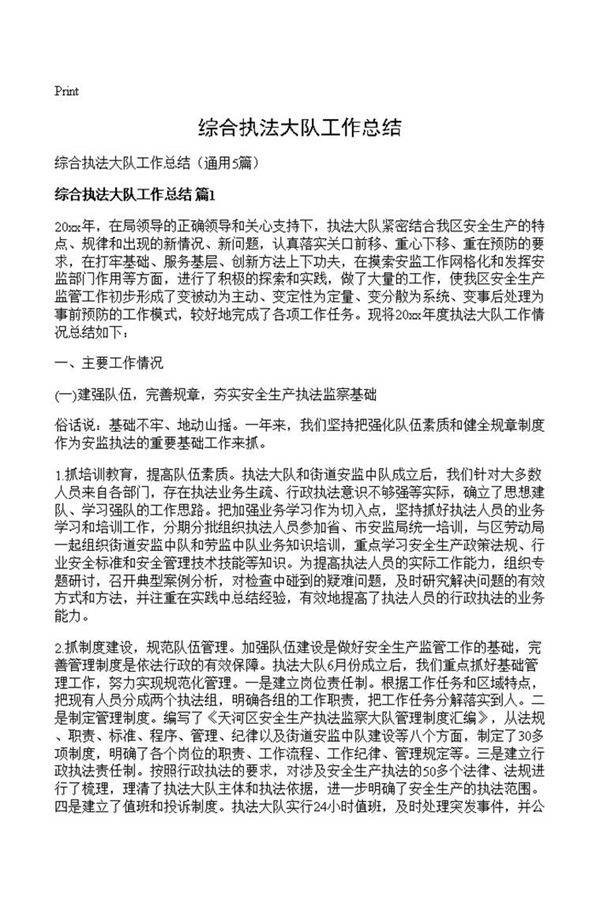 综合执法大队工作总结