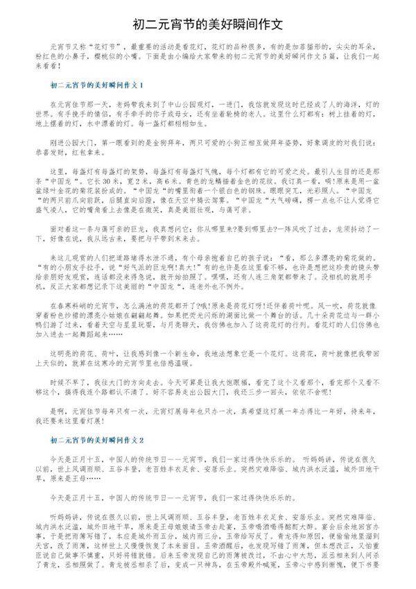 初二元宵节的美好瞬间作文