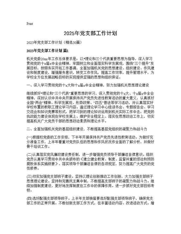 2025年党支部工作计划30篇