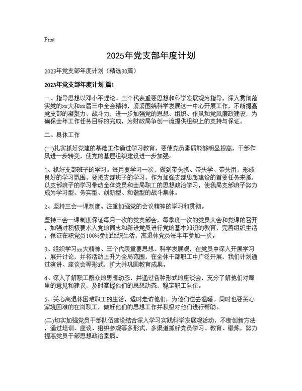 2025年党支部年度计划30篇