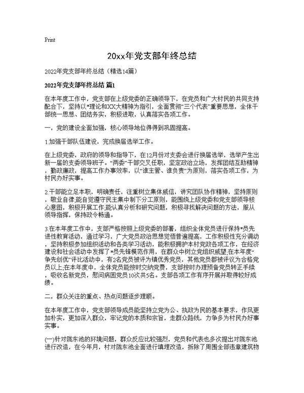 2025年党支部年终总结14篇