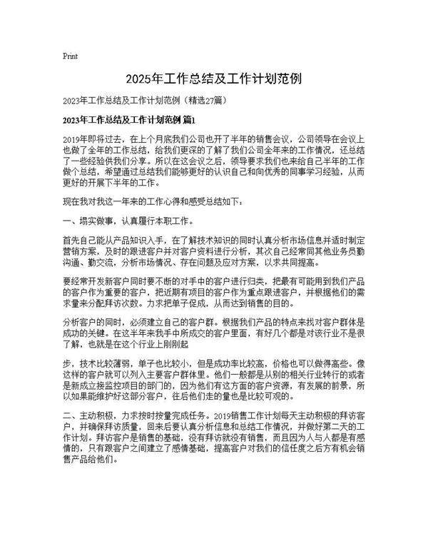 2025年工作总结及工作计划范例27篇