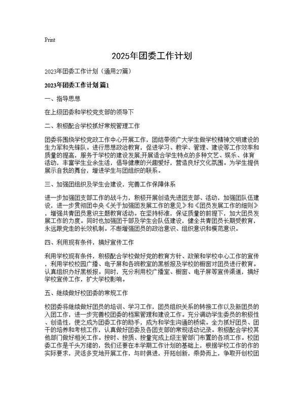 2025年团委工作计划27篇