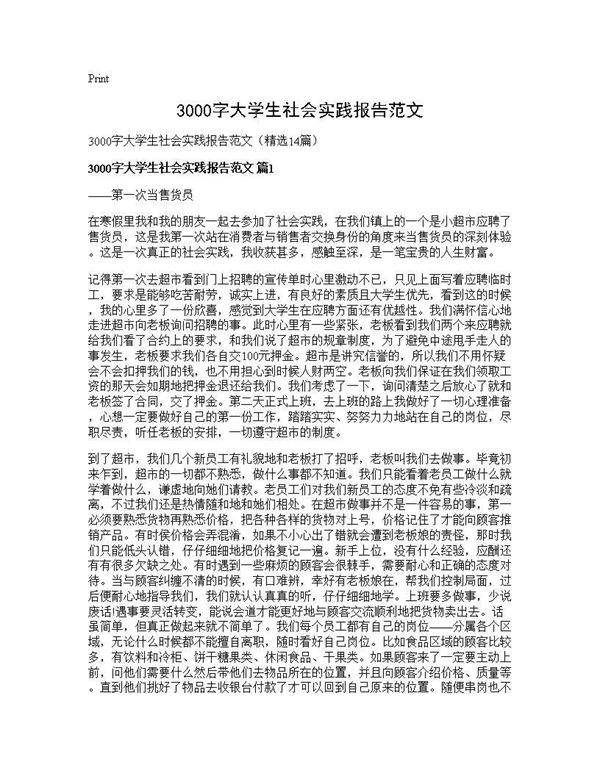 3000字大学生社会实践报告范文14篇